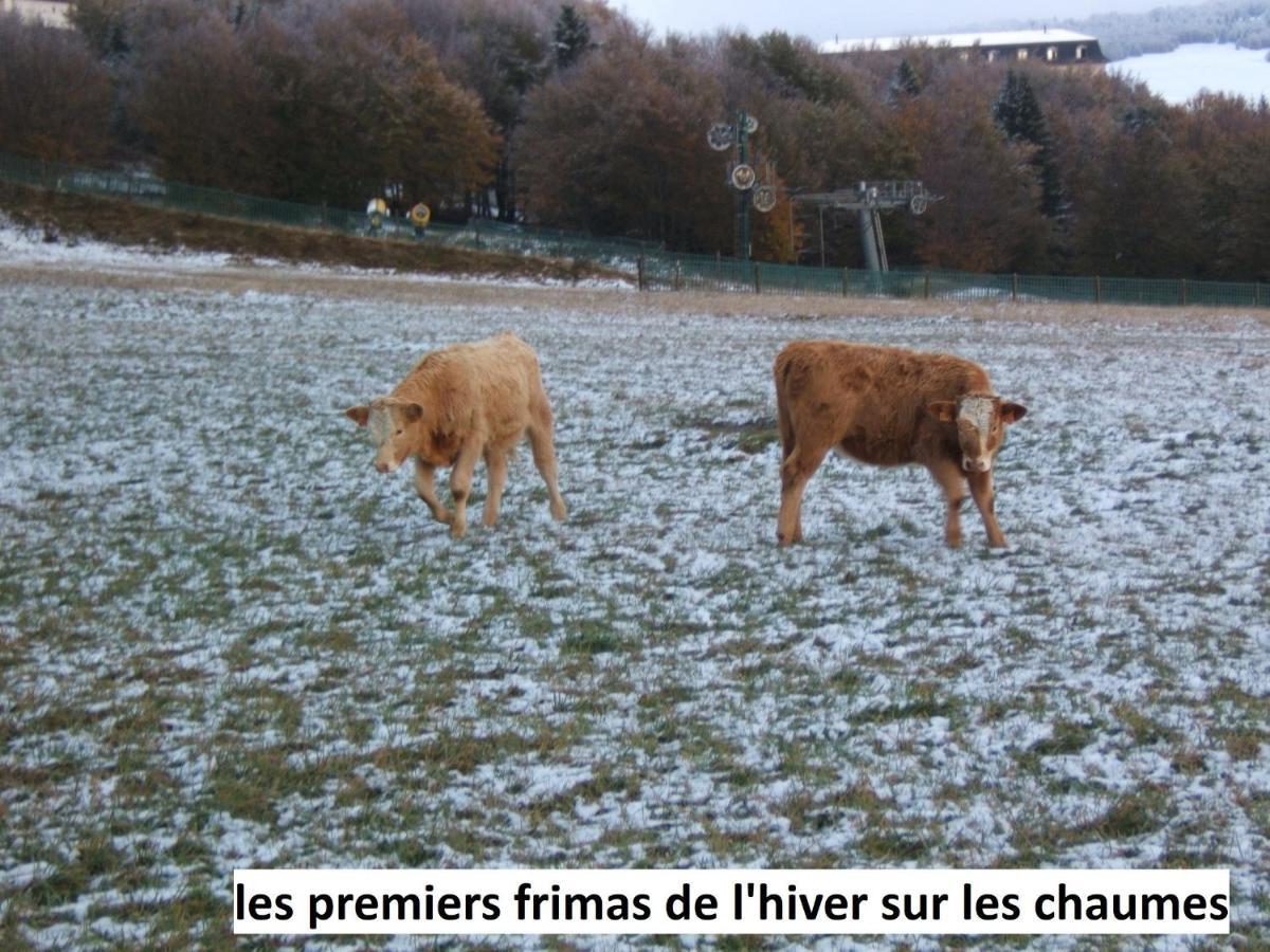 Le Chalet Bel Air Oderen Exterior foto